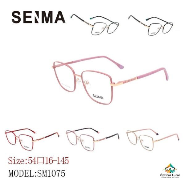 Gafas para Mujer SM1075 – Metal Frame